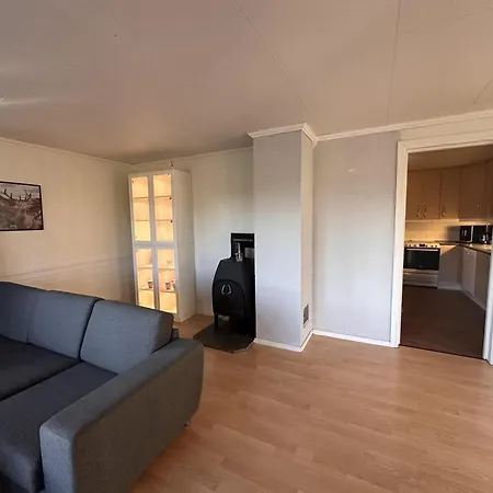 In The Center Of Apartament *